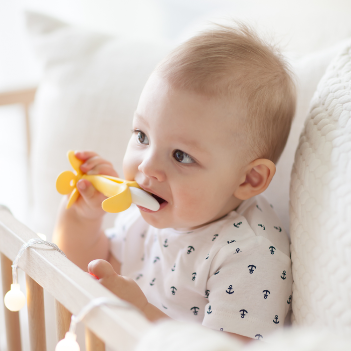 퍼기 유아동 아기 치발기 (미니, 큰 바나나, 옥수수 치발기)